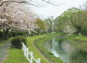 ⑤多布施川と神野公園