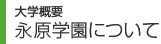 大学概要 永原学園について