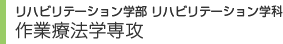 学部・大学院　作業療法学専攻