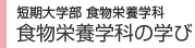短期大学部　コース紹介
