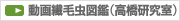 動画繊毛虫図鑑(高橋研究室)