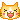 cat cat